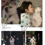 내"…레드벨벳 조이크러쉬 공개 '럽스타'→팬들은 '분통' <b>유수연</b>