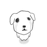 작년 <b>재작년</b> 다 추합권인데