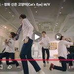 애들아 장<b>화신</b>은고양이 노래 좋음