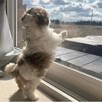 공기 <b>조코</b>