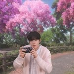 [추천선플만] 장원영 궁합 1위… 진짜 ‘정답’은 이 사람이다