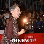 '한국 엘리자베스 테일러' 김지미, 미국서 별세…향년 85세