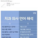 치과 의사 언어 해석