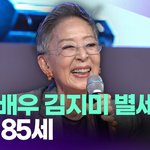 원로<b>배우</b> 김지미 별세…향년 85세 [투데이픽]