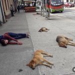 [드루와] <b>알바면접</b> 떨어짐 하