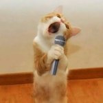 좋아해