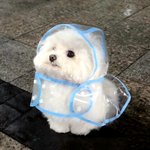 오늘 비<b>온대</b>