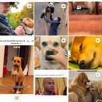 남친 인스타 <b>돋보기</b> 알고리즘 검증 좀