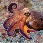 [테오시스] 사랑그리고