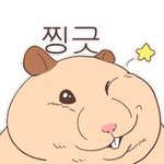 이번에도 쏠크인 여러분 ㅠㅠㅠ~~~~!!!!