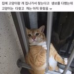 [드루와] 내가 귀여운거 <b>보여</b>줄게