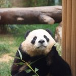 [댓글부탁해] <b>양악</b>수술 해본애들아 많이아파?