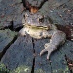 [테오시스] 사랑그리고