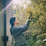 이영애, 대저택 <b>정원</b>도 으리으리…'크리스마스 트리'까지 직접 만드나...