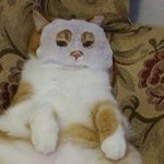 내털<b>잠바</b>에