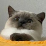 근데 <b>눈</b>놔서