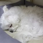 보고싶다