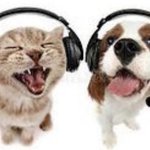 나는<b>개똥</b>벌레