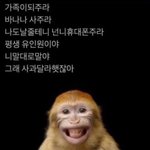 [19] 성인들아 너넨 <b>남친</b>이 이래도 ㄱㅊ음?