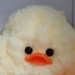 [하고싶은말] 배달의 <b>민족</b>