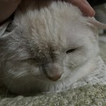 <b>월요일</b>이새