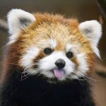 <b>머리</b>카락