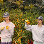제주살이 권유리, 오늘은 귤 따는 중…"<b>청년</b>농부입니다"