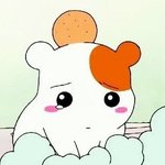 [하고싶은말] 모루<b>털실</b>이랑 놀다가