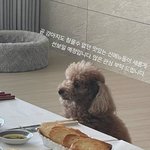 [군대] 슈가 <b>홀리</b> 근황?