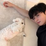 <b>차은우네</b> 강아지