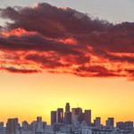 사랑한다 <b>화요일</b>.