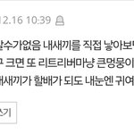 <b>이사람</b> ㅈㄴ 아들맘같음