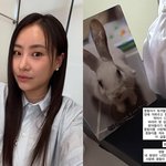 조현아, 연말 술파티 하루 만에 <b>비보</b> "계속 기억해 주십사…"...