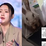 조현아, 술파티 하루 만에 갑작스러운 비보 “받아들이기 힘든 시간”