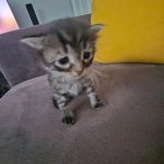 <b>마틴</b> 생각보다 보컬 아쉽네