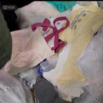 [제발도와줘] 너희는 이런 <b>임차인</b>에게 세를 줄 수 있어???