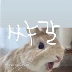 <b>본계</b> 스토리 ㅇㄸ