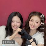 [추천선플만] 개이쁘다 진짜