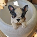 [하고싶은말] <b>멍멍이</b>