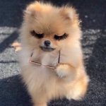 [드루와] 대학생 판녀들 ㅈㅂ <b>질문</b>잇음ㅠㅠ