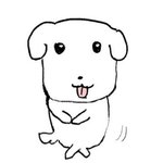 [드루와] 나 우리집에서 엄청 공주였는데