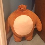 [19] 요즘 여자들 <b>몸매</b> 진짜 거의다 좋잖아