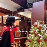 knight bar”…정은채, 겨울 공기 속→<b>크리스마스</b> 감성 몰입