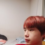 <b>이때</b> 영상보면 조용이함