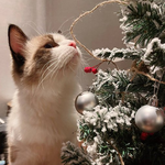 [레이] 베리레드톡)Around <b>the</b> corner