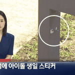 생일 이벤트로 문화재 훼손한 <b>마크</b>