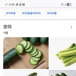 [싱할라어] 싱할라어 <b>오이</b> පිපිඤ්ඤ