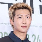 방탄소년단 <b>RM</b>, 하이브 작심 저격 "회사가 우리에게 조금 더...