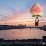 [하고싶은말] <b>냉동</b>딸기 하늘을 날고 싶다는