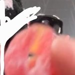 [댓글부탁해] 이 <b>젤리</b> 이름 아는사람!ㅜㅜ